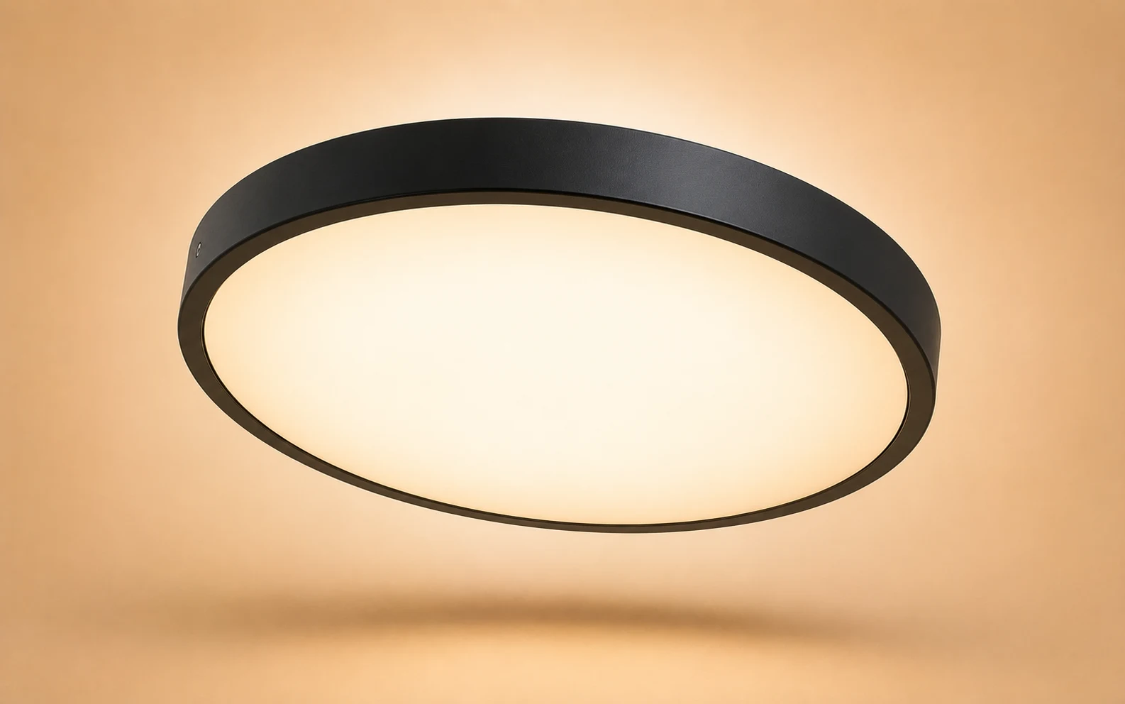Ceiling Lamps