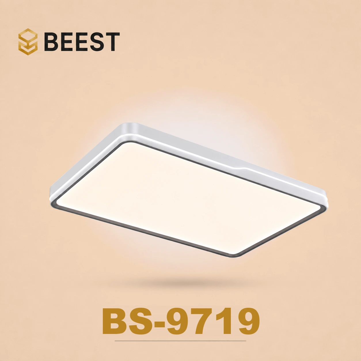 BS-9719