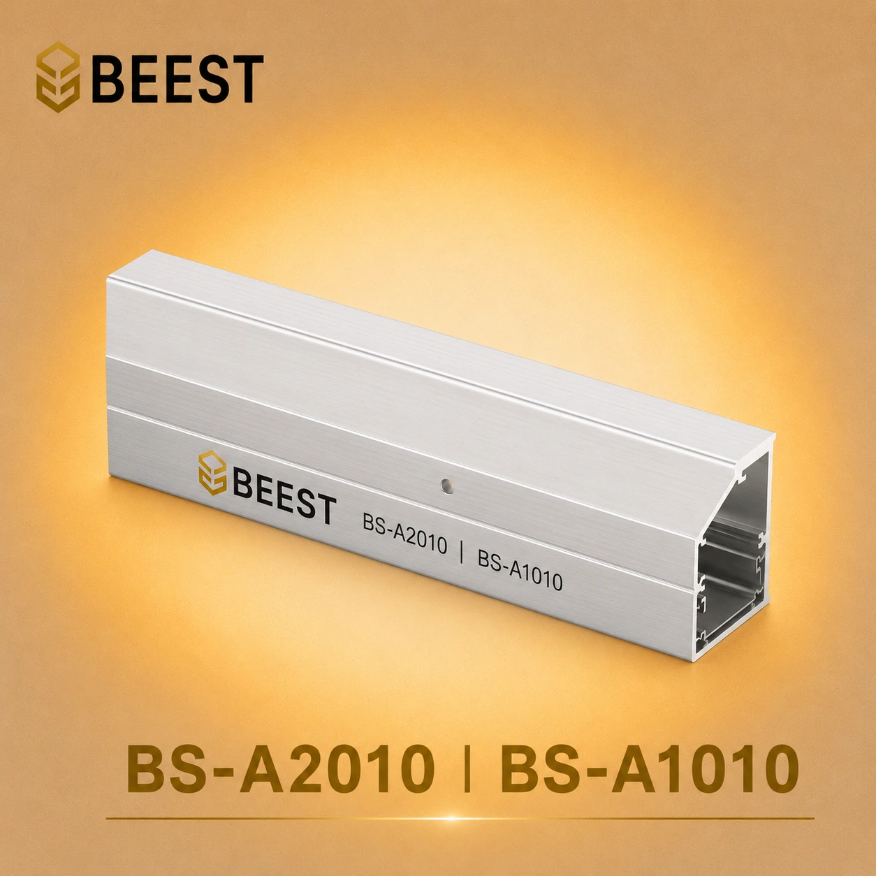 BS-A1010