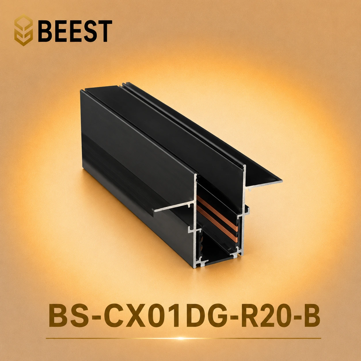 BS-CX01DG-R20-B