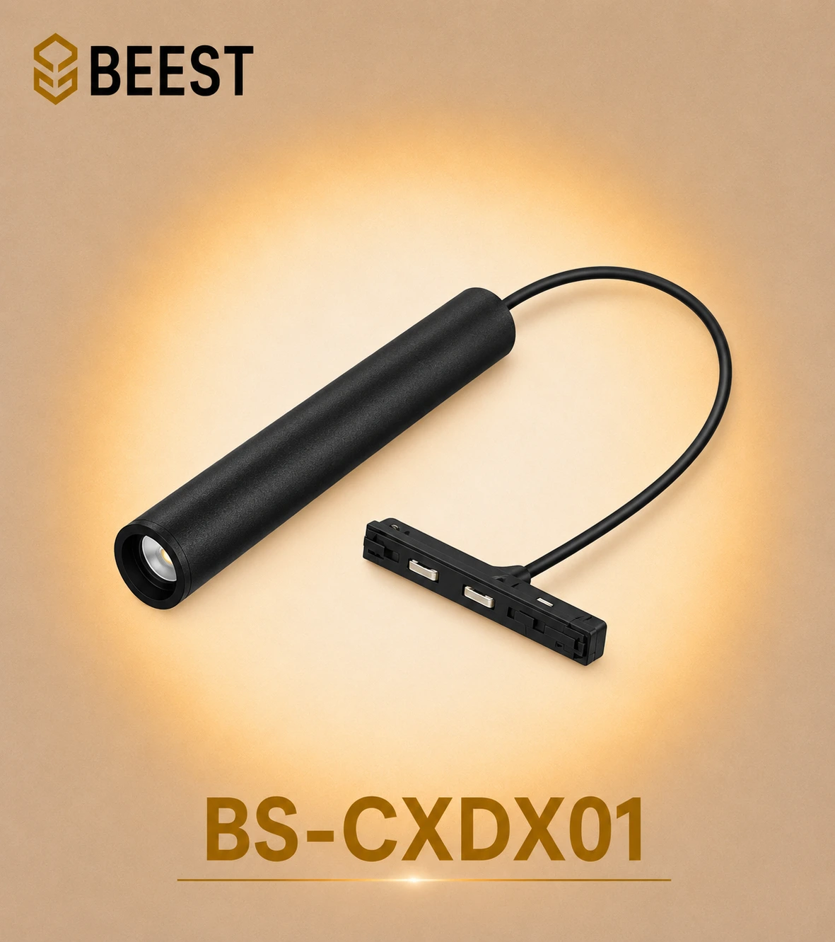 BS-CXDX01