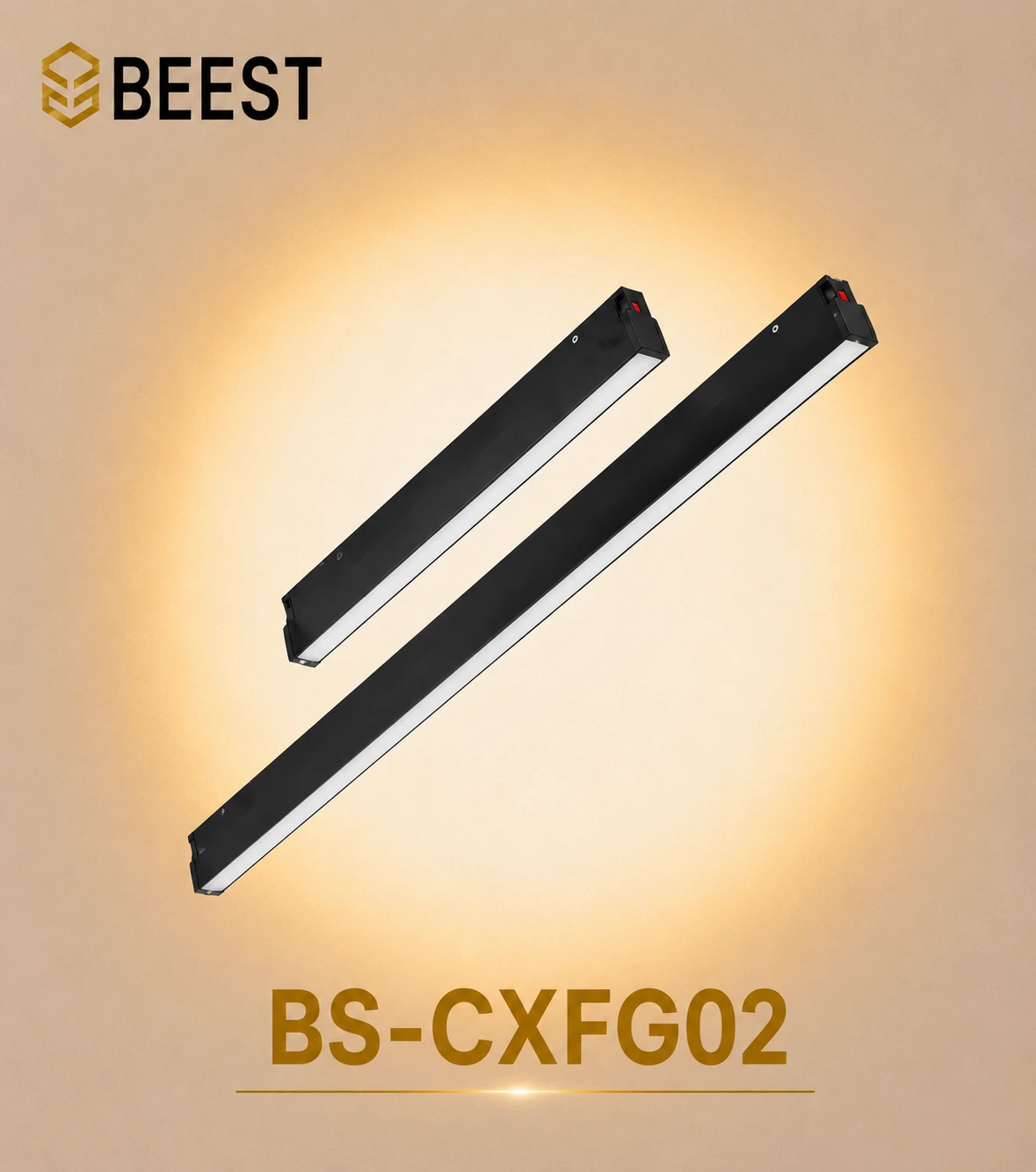 BS-CXFG02-12W