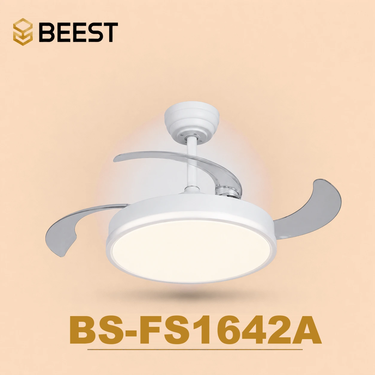 BS-FS1642A