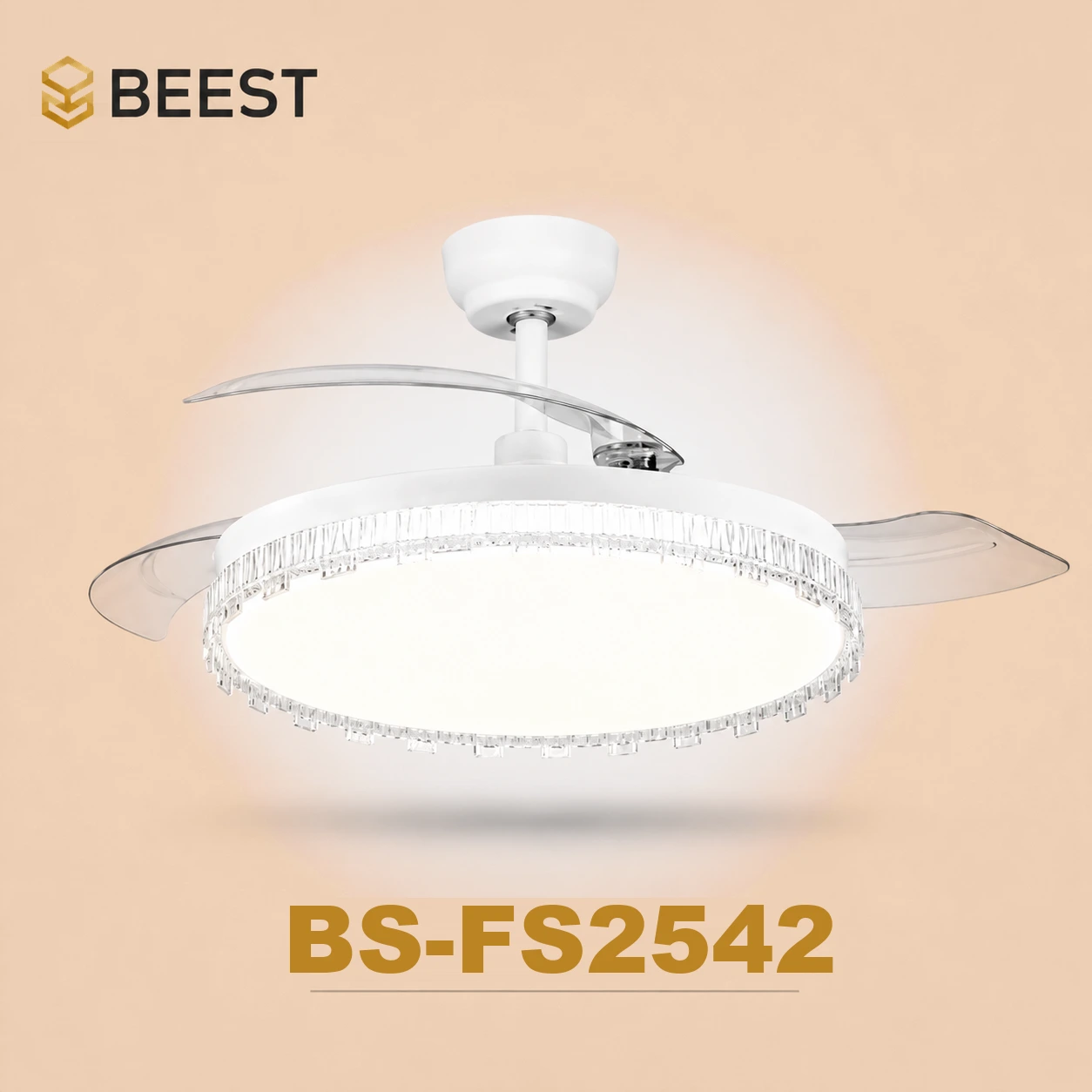BS-FS2542