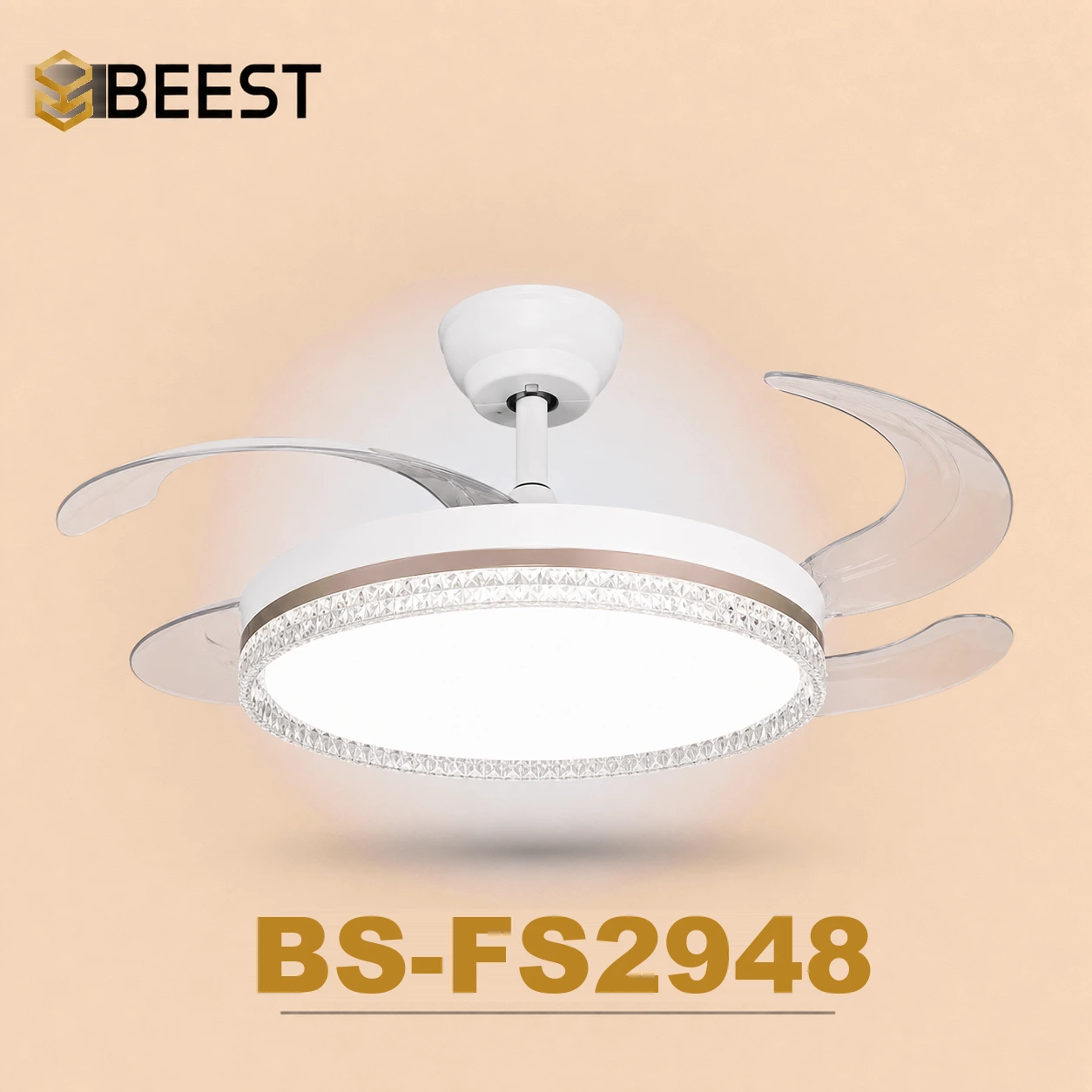 BS-FS2948