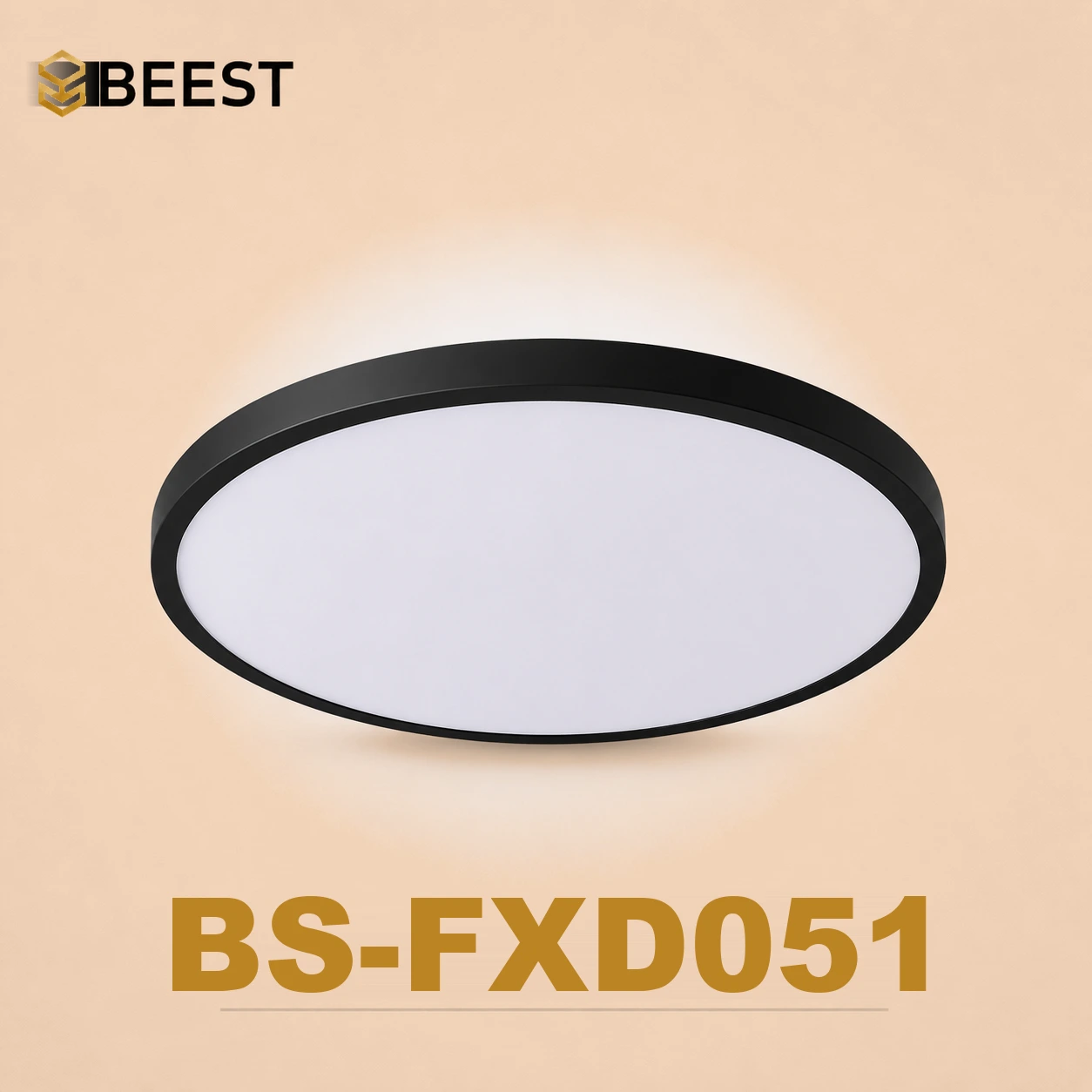 BS-FXD051