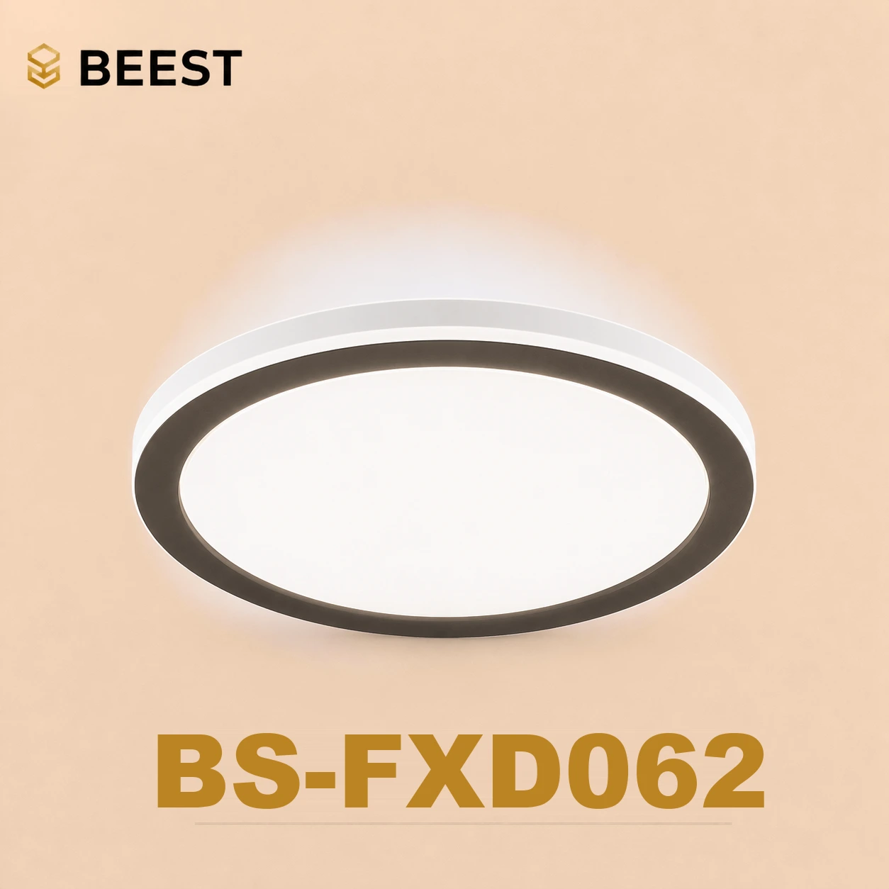 BS-FXD062