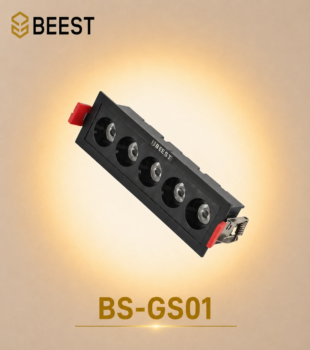 BS-GS01