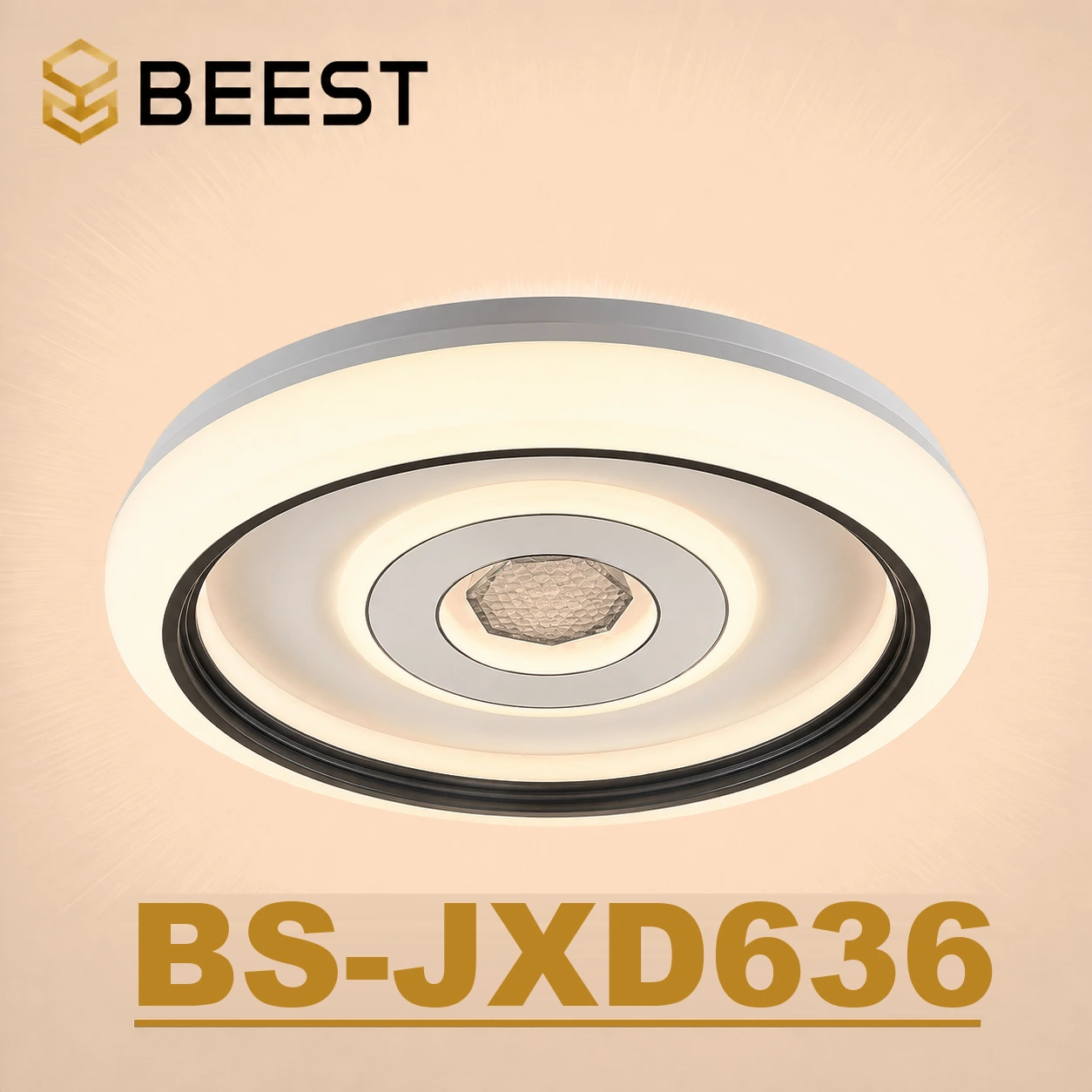 BS-JXD636