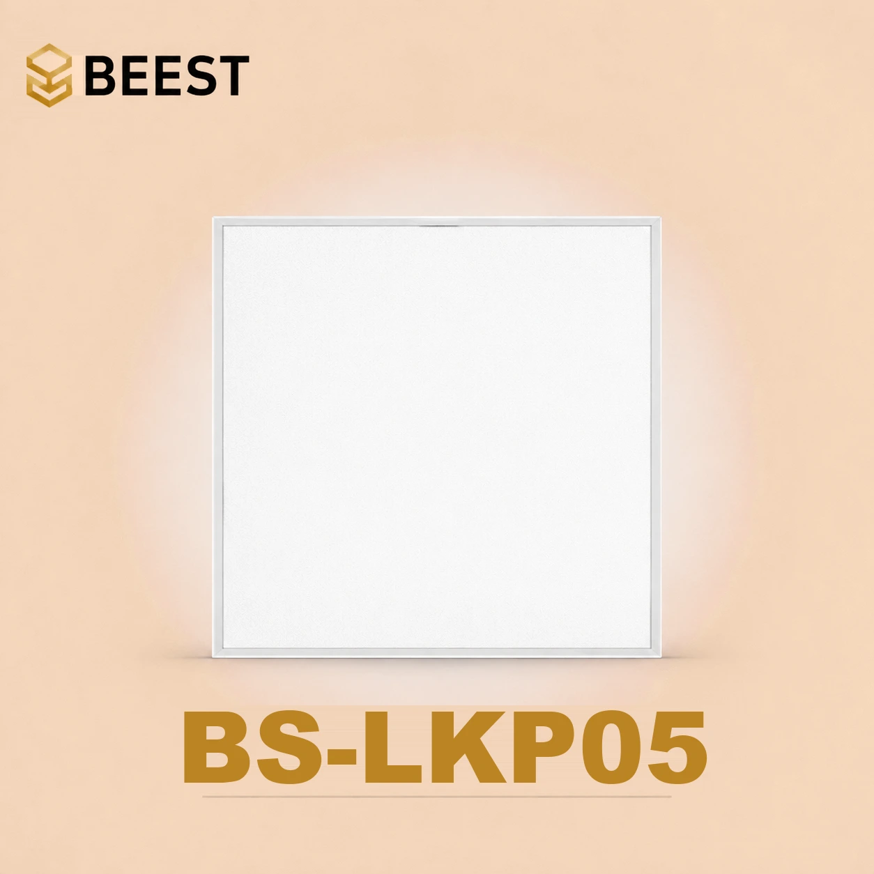 BS-LKP05