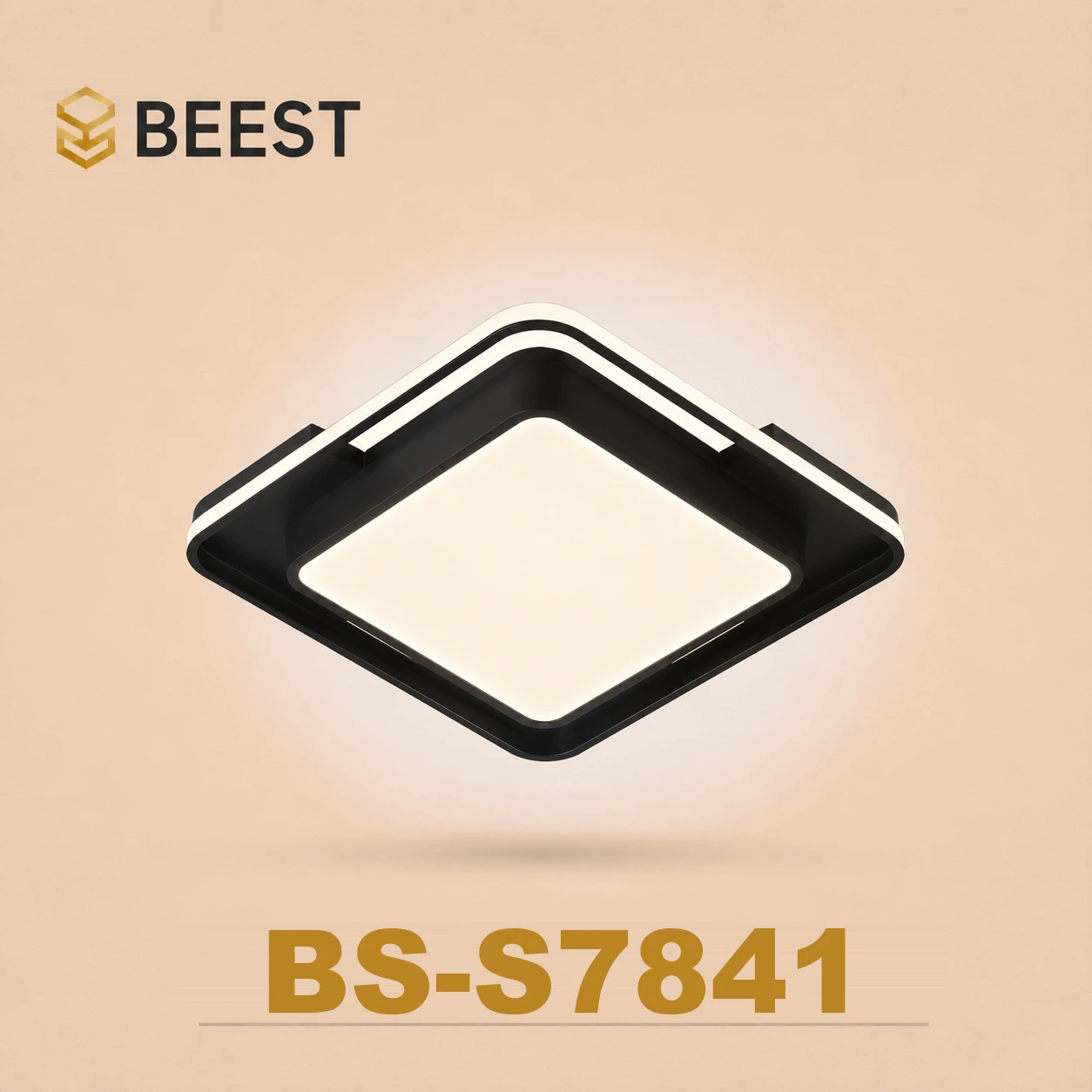 BS-S7841