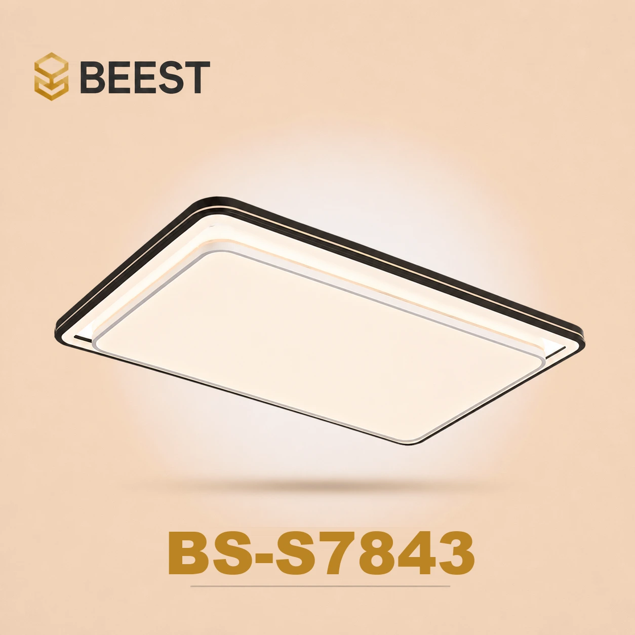 BS-S7843
