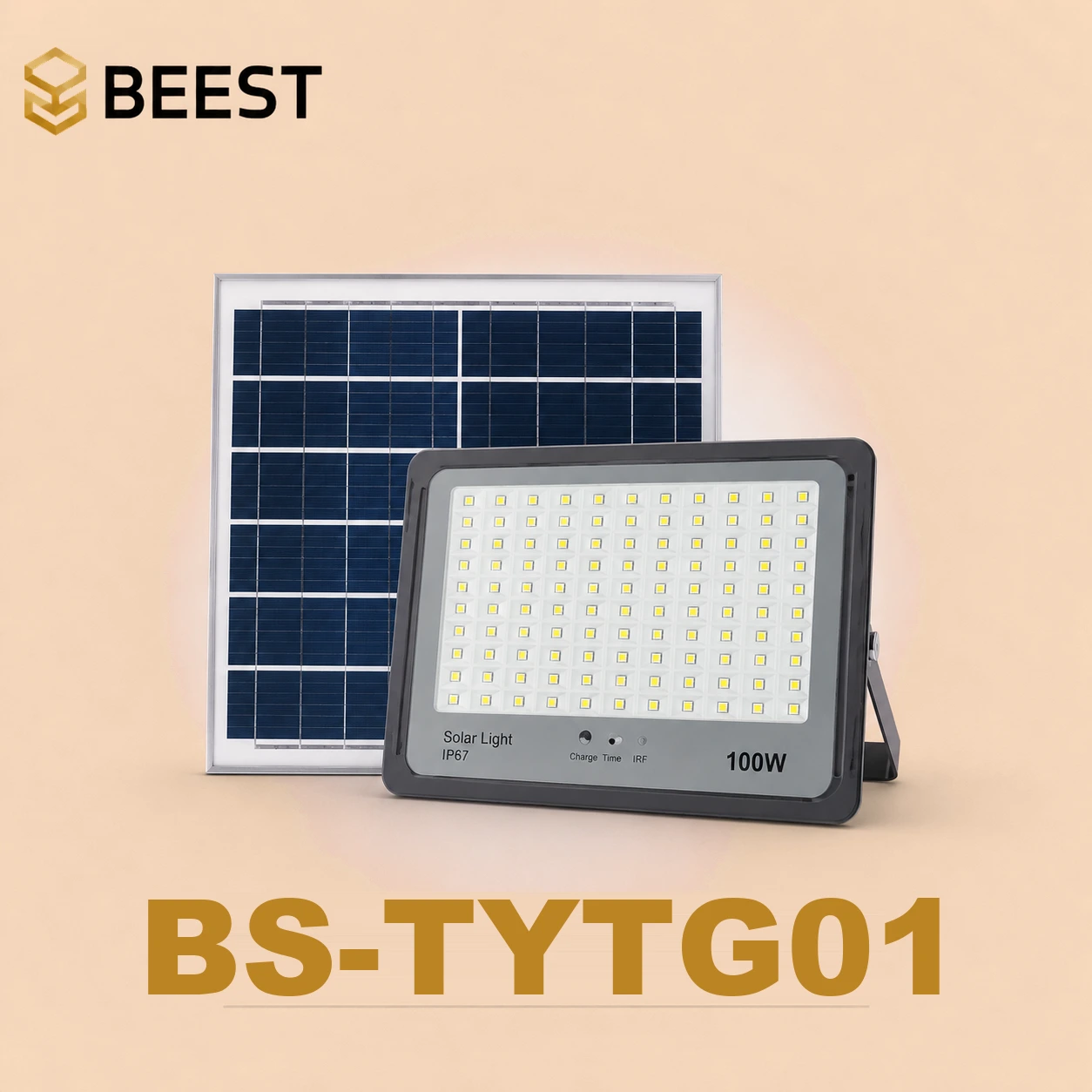 BS-TYTG01-100W