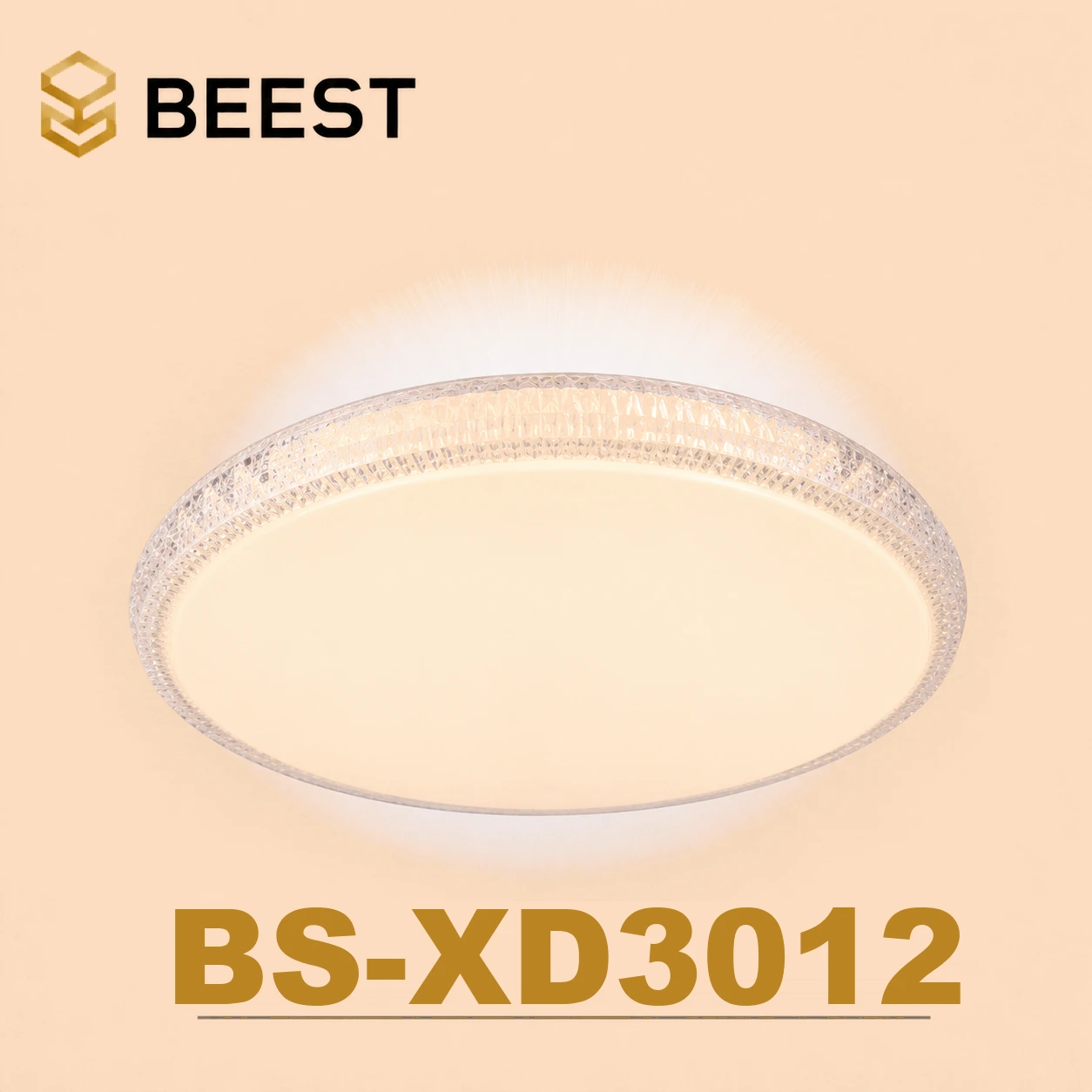 BS-XD3012