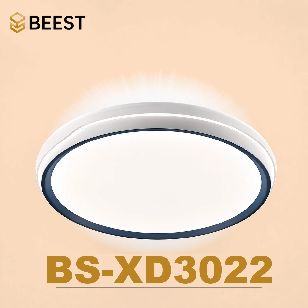BS-XD3022