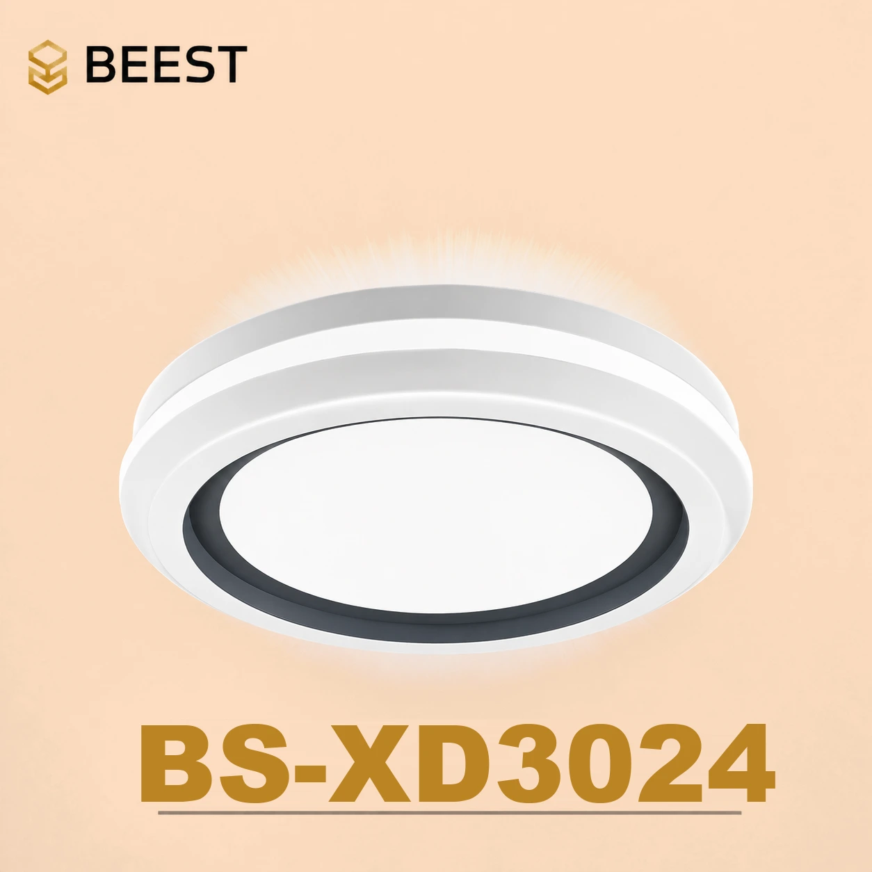 BS-XD3024