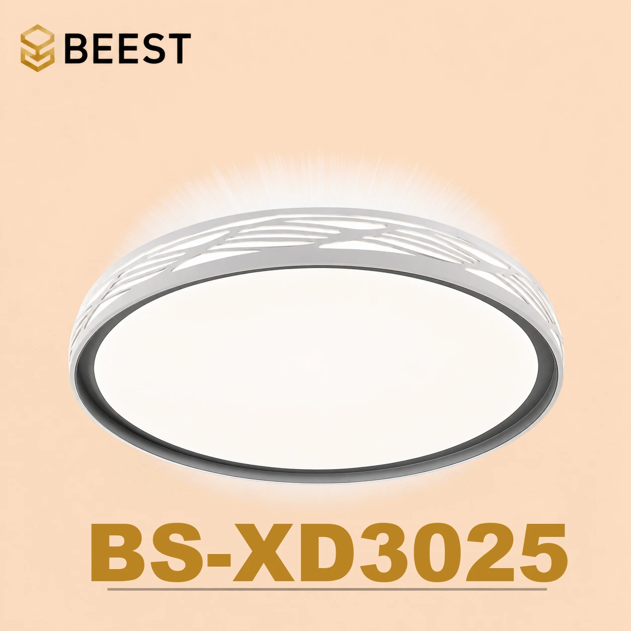BS-XD3025