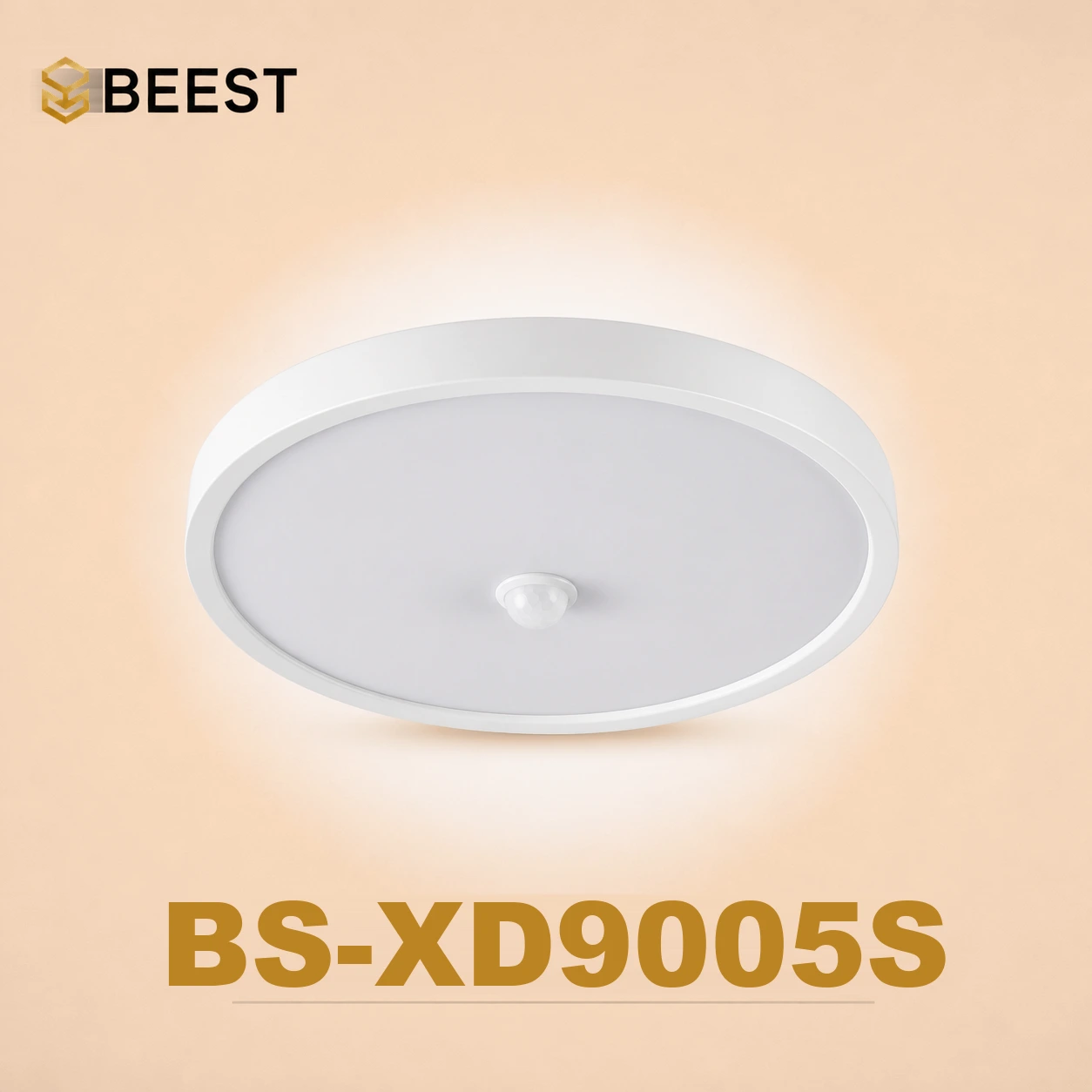 BS-XD9005S