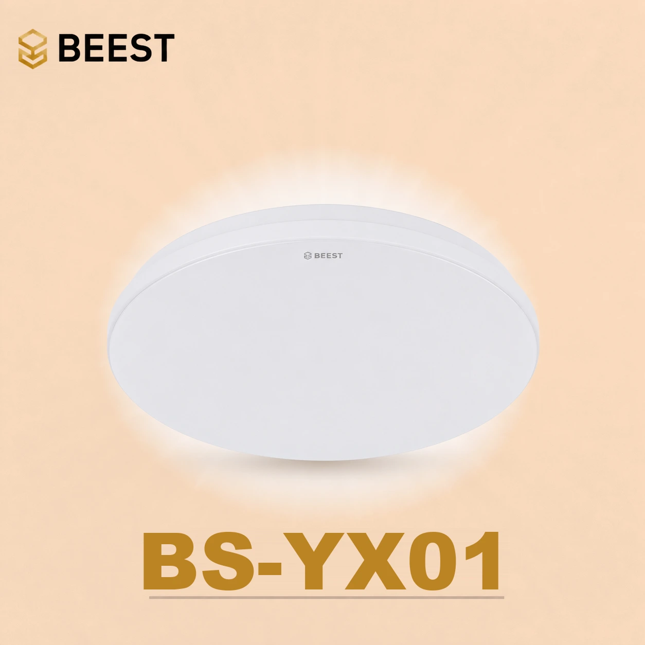 BS-YX01